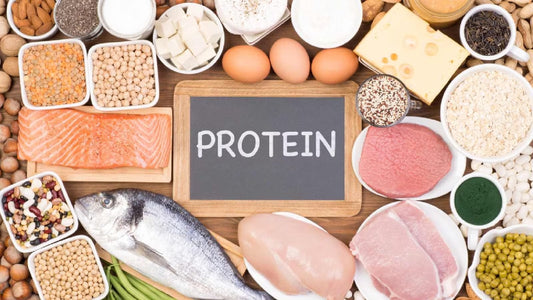 5 Reasons to Increase Protein Intake